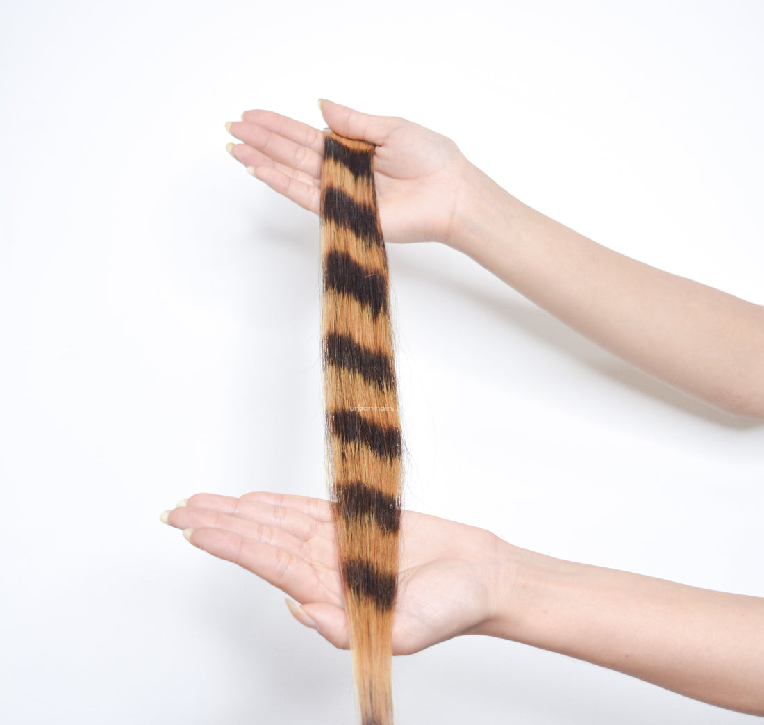 Raccon Trail Streaks | 100% Human Hair Extensions | 18&quot;
