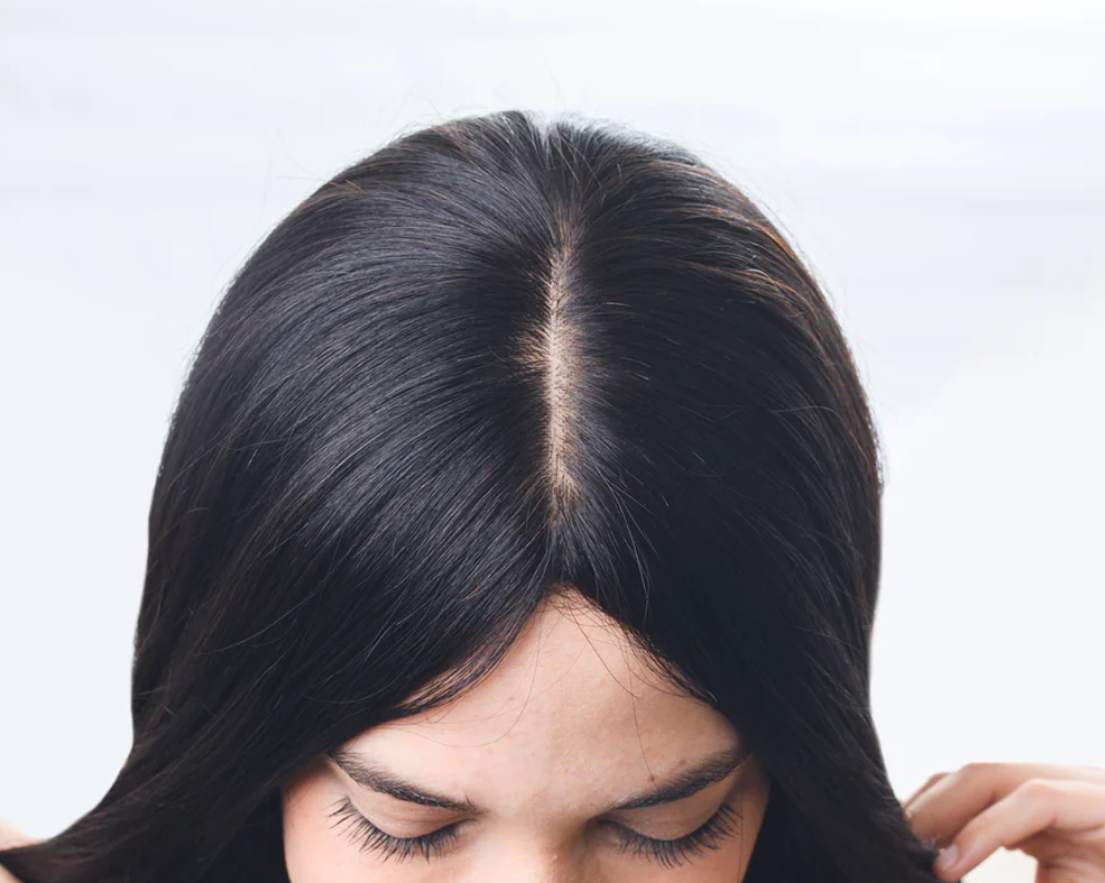 Silk Base Luxury Wig | 100% Human Hair